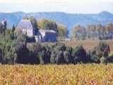 Location de salle château et manoir Domaine De Mujolan à 34690 Fabregues